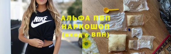 молекула духа Елабуга