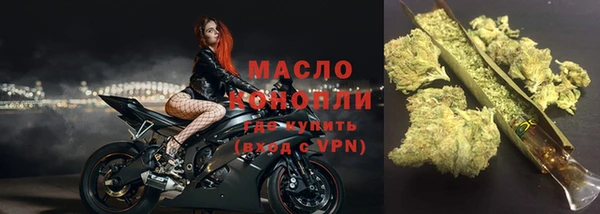 гидра Ельня