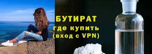 гидра Ельня