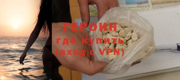 гидра Ельня
