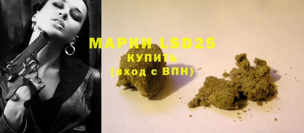 молекула духа Елабуга
