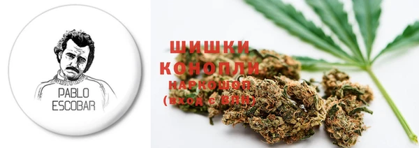 гидра Ельня