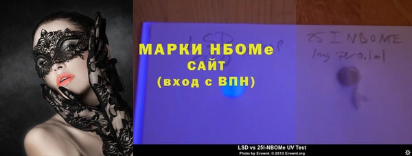 молекула духа Елабуга