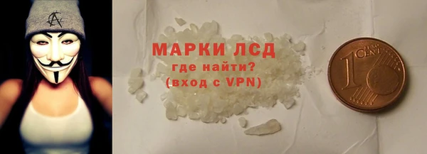молекула духа Елабуга