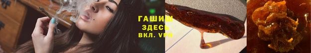 гидра Ельня