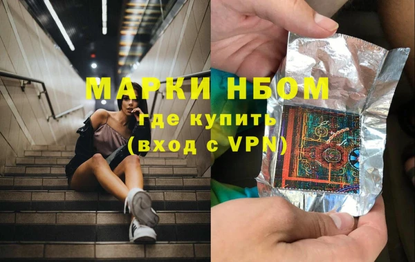 гидра Ельня