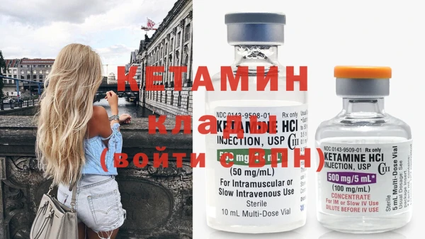 гидра Ельня