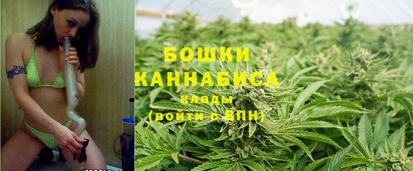 молекула духа Елабуга