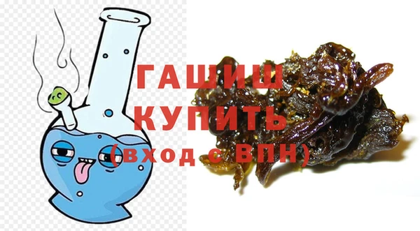 гидра Ельня