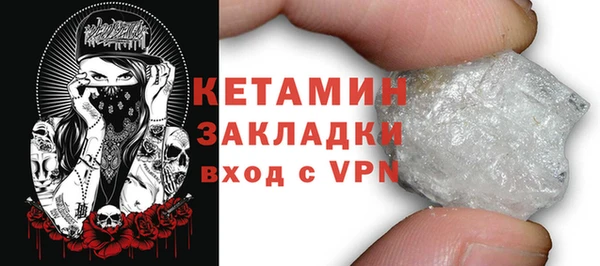 гидра Ельня