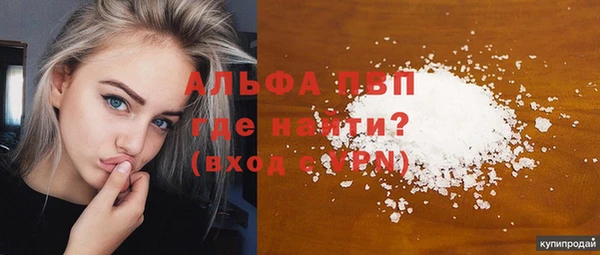 гидра Ельня