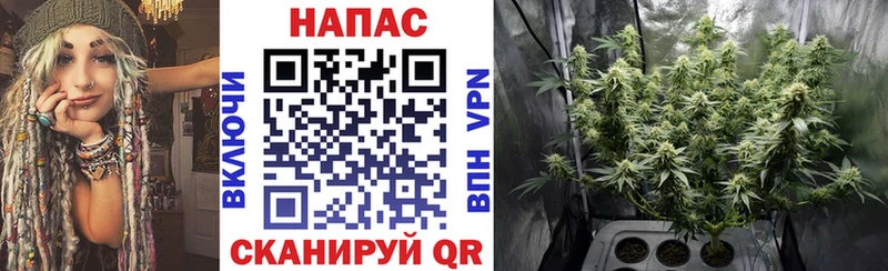 Шишки марихуана семена Урень